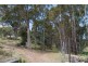 548 Sawpit Hill Road, Blessington TAS 7212