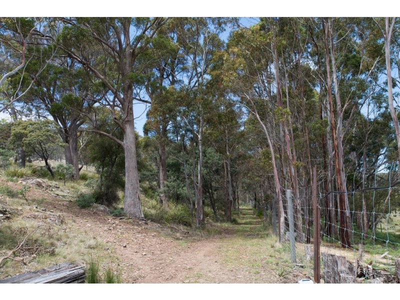 548 Sawpit Hill Road, Blessington TAS 7212