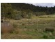 548 Sawpit Hill Road, Blessington TAS 7212