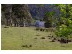 548 Sawpit Hill Road, Blessington TAS 7212