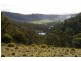 548 Sawpit Hill Road, Blessington TAS 7212