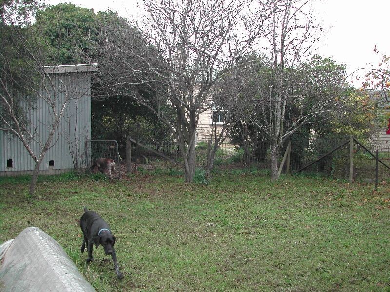 104 Main Street, Cressy TAS 7302