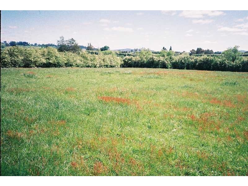 137 Mary Street, Westbury TAS 7303