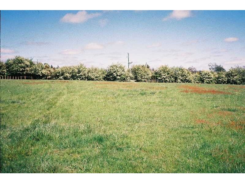 137 Mary Street, Westbury TAS 7303