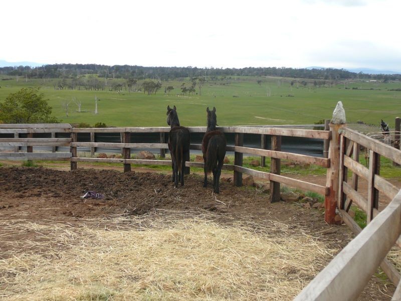 198 Norwich Drive, Longford TAS 7301