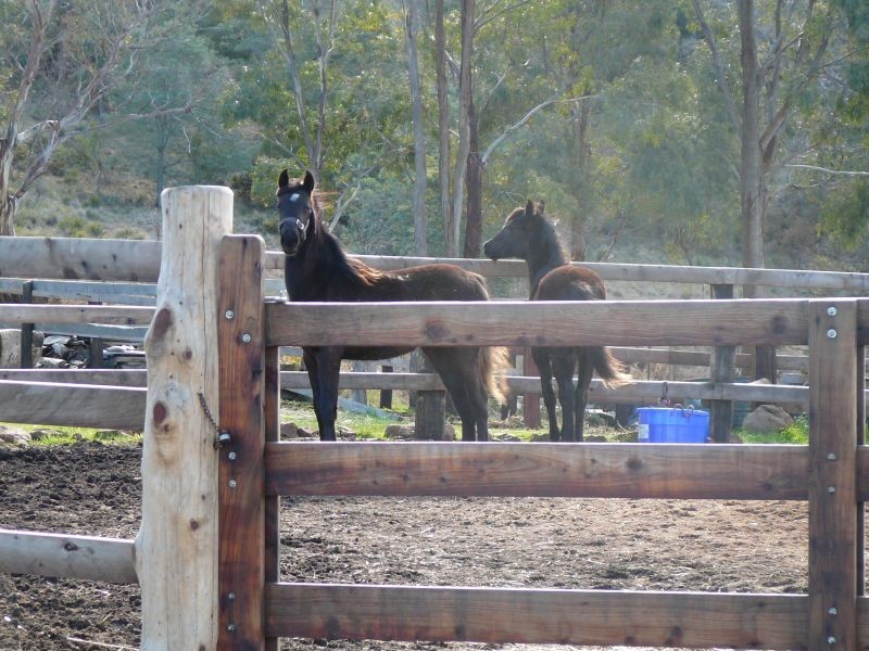 198 Norwich Drive, Longford TAS 7301