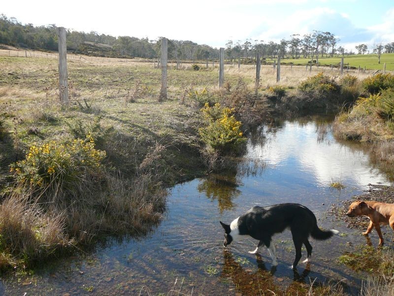 198 Norwich Drive, Longford TAS 7301