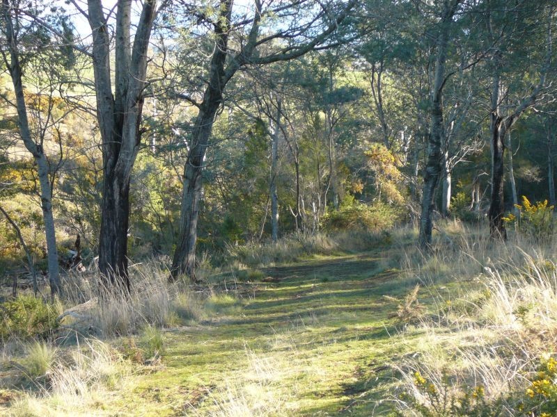 198 Norwich Drive, Longford TAS 7301