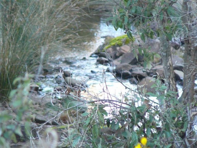 198 Norwich Drive, Longford TAS 7301