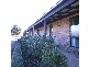 5 Joscelyn Street, Hagley TAS 7292
