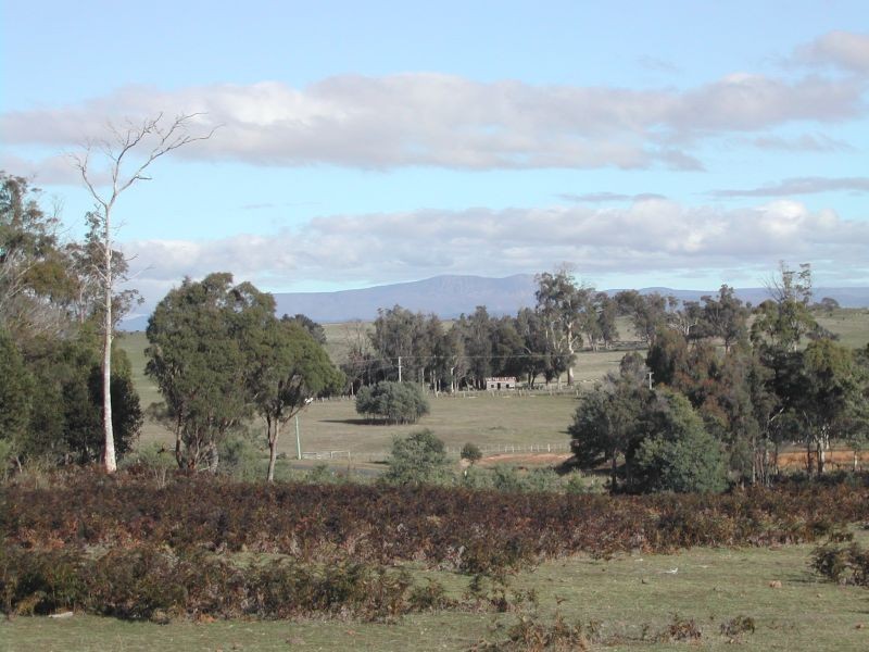 1545 Bridge North Road, Rosevale TAS 7292