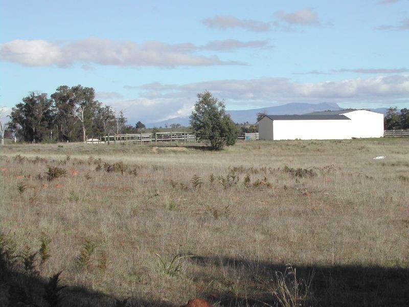 1545 Bridge North Road, Rosevale TAS 7292