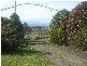 150 Five Acre Row, Westbury TAS 7303