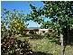 150 Five Acre Row, Westbury TAS 7303
