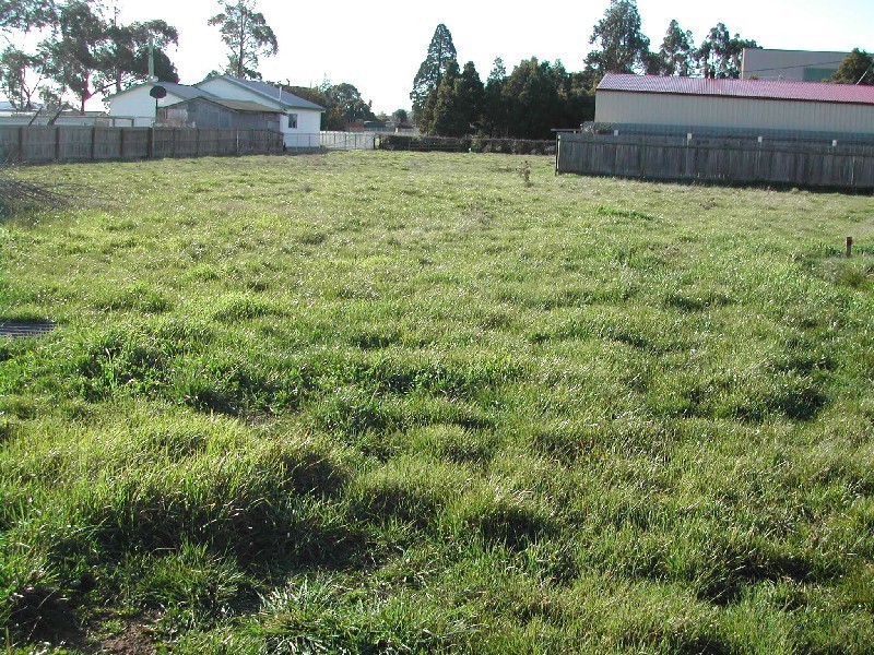 2 Paton Street, Longford TAS 7301