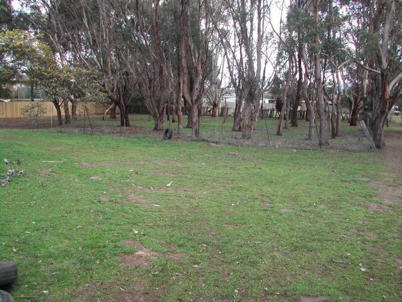 82 Main Street, Cressy TAS 7302