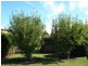 73 Franklin Street, Westbury TAS 7303
