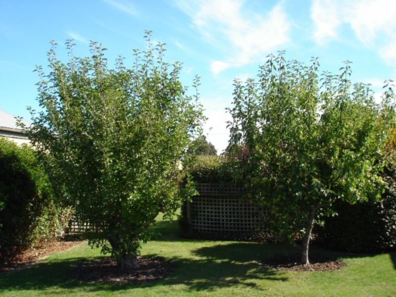 73 Franklin Street, Westbury TAS 7303
