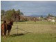 171 Five Acre Row, Westbury TAS 7303