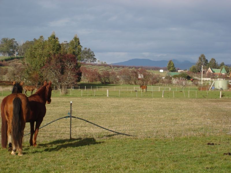171 Five Acre Row, Westbury TAS 7303
