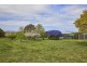 133 Main Street, Cressy TAS 7302