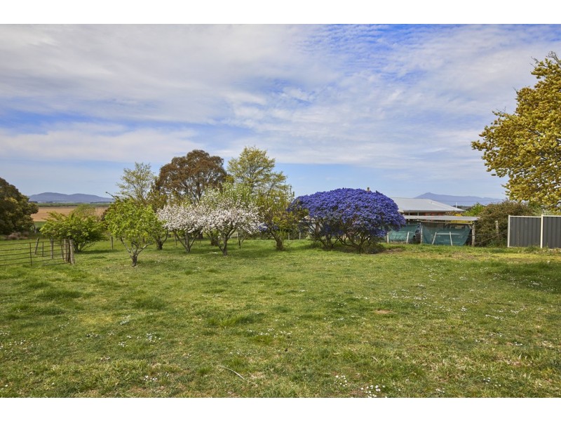 133 Main Street, Cressy TAS 7302