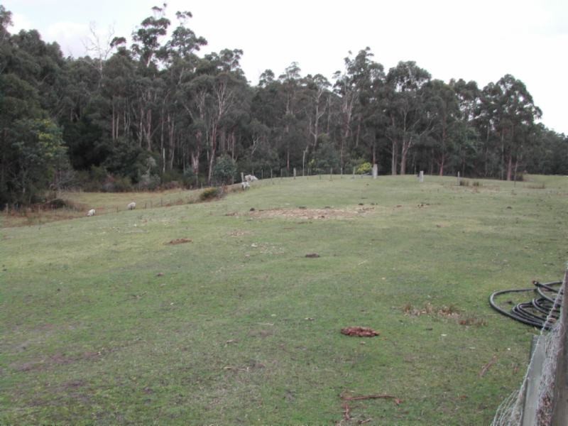 260 Musk Valley Road, Blackwood Creek TAS 7301