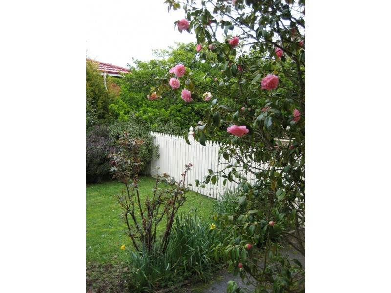 24  George Street, Longford TAS 7301