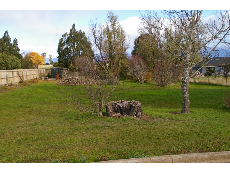 15 MacQuarie Street, Cressy TAS 7302
