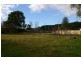 15 MacQuarie Street, Cressy TAS 7302