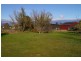 15 MacQuarie Street, Cressy TAS 7302