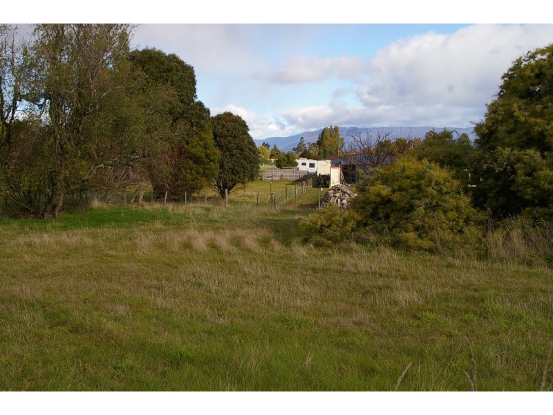 15 MacQuarie Street, Cressy TAS 7302