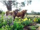 853 Logan Road, Evandale TAS 7212