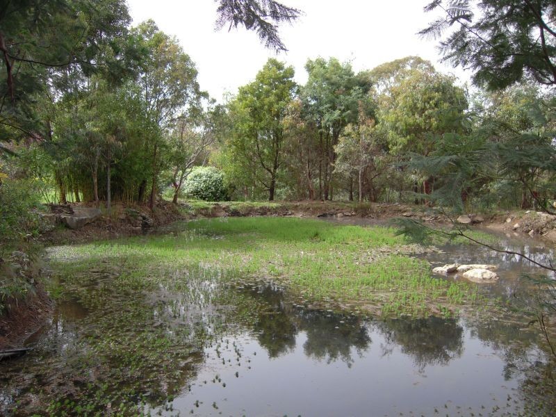 6 Keith Avenue, Travellers Rest TAS 7250