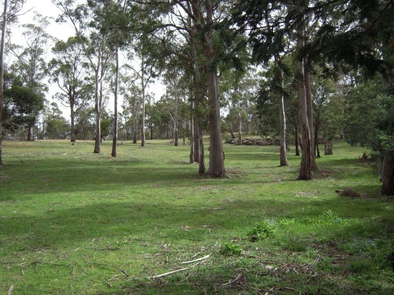 6 Keith Avenue, Travellers Rest TAS 7250