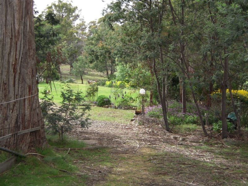 6 Keith Avenue, Travellers Rest TAS 7250