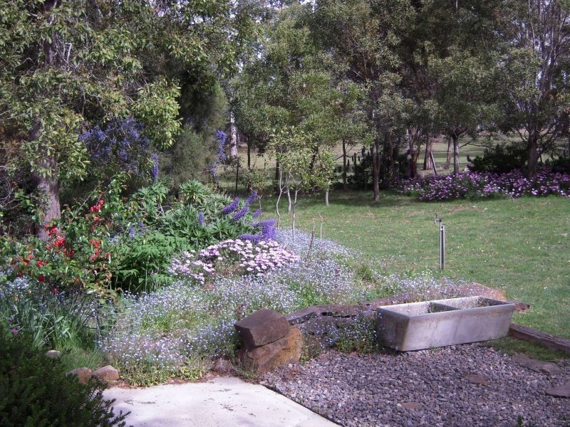 6 Keith Avenue, Travellers Rest TAS 7250