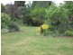 1 Archer Street, Cressy TAS 7302