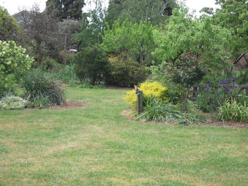 1 Archer Street, Cressy TAS 7302