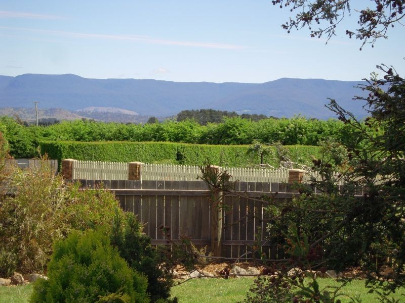 1 Archer Street, Cressy TAS 7302