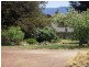 1 Archer Street, Cressy TAS 7302
