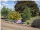 1 Archer Street, Cressy TAS 7302