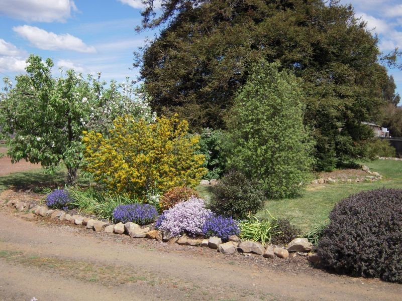 1 Archer Street, Cressy TAS 7302