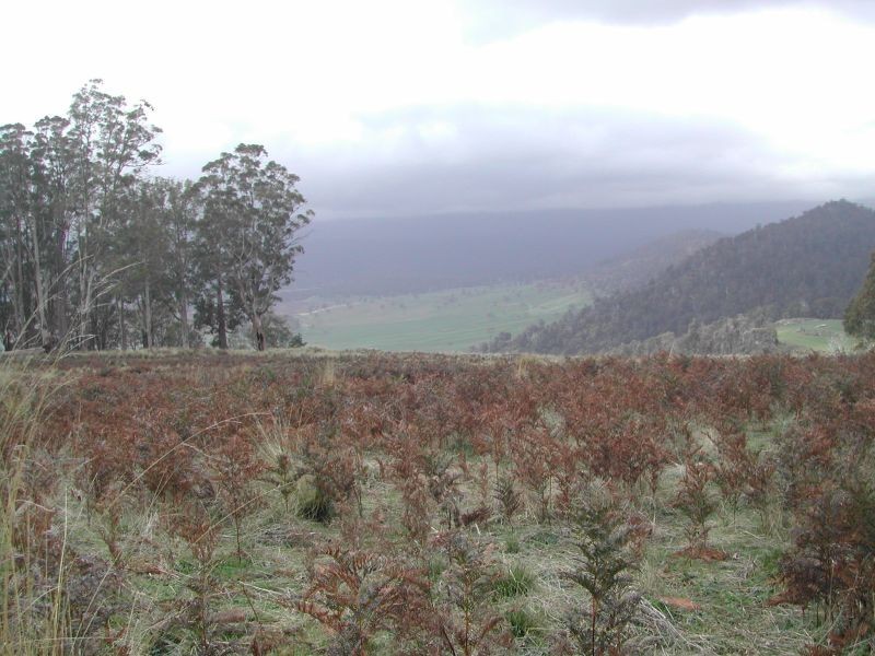 947 Sawpit Hill Road, Blessington TAS 7212