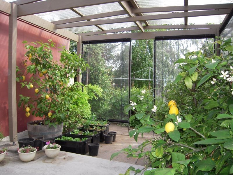 24 George Street, Perth TAS 7300