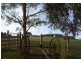 1517 Birralee Road, Birralee TAS 7303