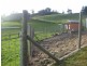 1517 Birralee Road, Birralee TAS 7303