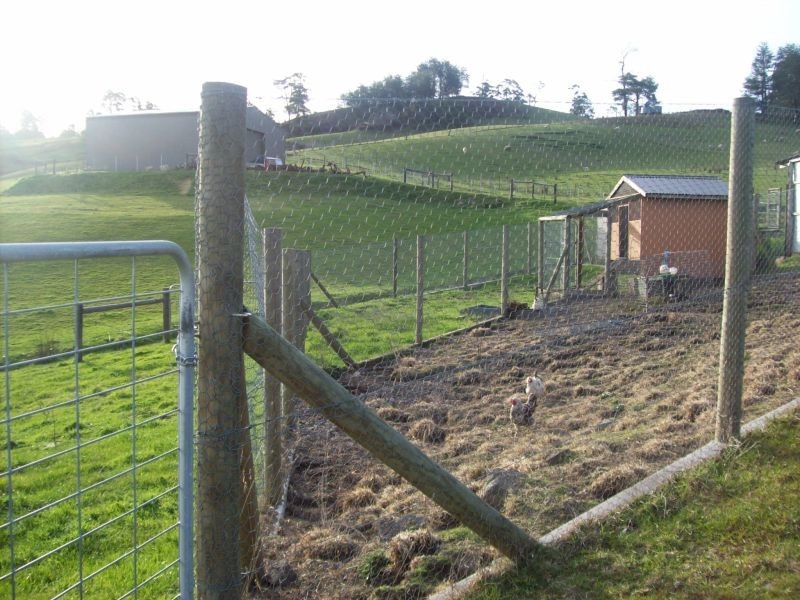 1517 Birralee Road, Birralee TAS 7303