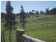 1517 Birralee Road, Birralee TAS 7303