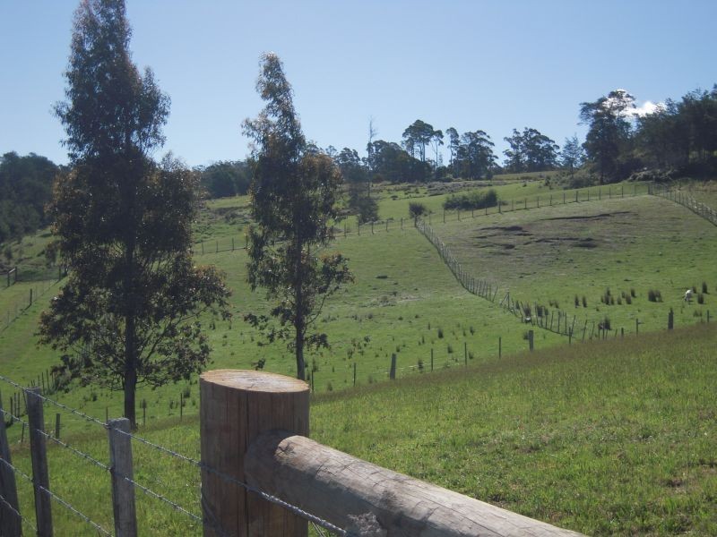 1517 Birralee Road, Birralee TAS 7303